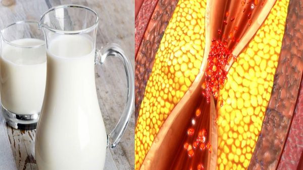 மஞ்சள் மஞ்சளா பால்.. நீரிழிவு நோயாளி பால் குடிக்கலாமா? உடல் எடை குறைய பசும்பால் நல்லதா? செம கால்சியம்