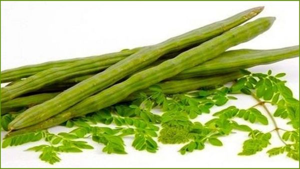 முருங்கைக்கீரையை இப்படி சாப்பிட்டாலே போதும்.. ஆயுசு பெருகும்.. முருங்கைக்காய் கீரை குழம்பு தெரியுமா?