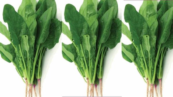 கீரை வாங்கறீங்களா.. அடடே இத்தனை நாளா இது தெரியாம போச்சே.. கீரைகளை செய்தால் அந்த விஷயத்தை மறக்காதீங்க