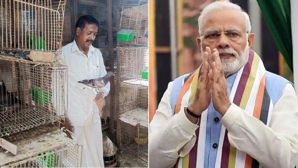 கன்பியூஷன்: புறா வளர்த்தால் நுரையீரல் கேடு! அங்கிட்டு புறா வளர்த்த சென்னை டிரைவருக்கு மோடி பாராட்டு!