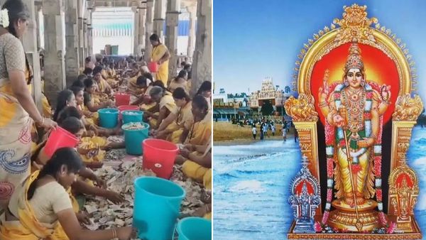 மொத்தமாக தூர்வாரப்பட்ட திருச்செந்தூர் உண்டியல்.. அதன் அடியில் இருந்த அதிசயம்.. வியந்த பக்தர்கள்