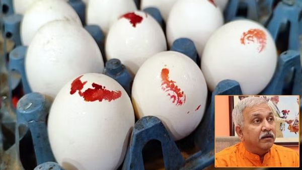 தனியார் ஹோட்டலில் இருந்த சத்துணவு முட்டைகள்.. ஷாக் ஆன அதிகாரிகள்! “பயங்கர முறைகேடு”: பாஜக பாய்ச்சல்!