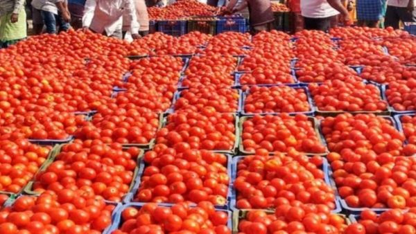 ஆடிய ஆட்டம் என்ன..ரூ.150க்கு விற்ற தக்காளி கடும் வீழ்ச்சி..கோயம்பேடு மார்க்கெட்டில் ரூ.7க்கு விற்பனை