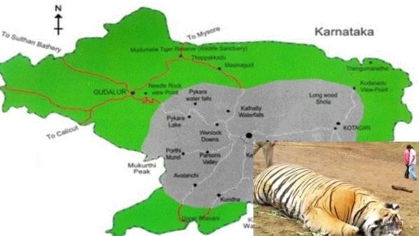 நீலகிரியில் 