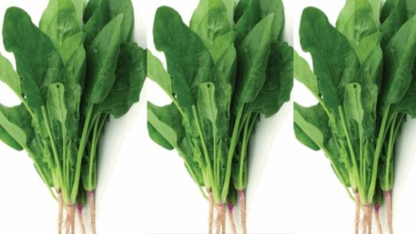 கீரை செய்றீங்களா.. அப்போ இந்த 5 மேட்டரை மறக்காதீங்க.. இதுல இவ்ளோ இருக்கா? அருமையான 