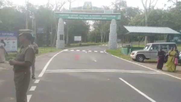 கர்நாடகா எல்லைகளில் பேருந்துகள் தடுத்து நிறுத்தம்.. பந்த் காரணமாக தமிழக வாகனங்களுக்கு அனுமதி மறுப்பு