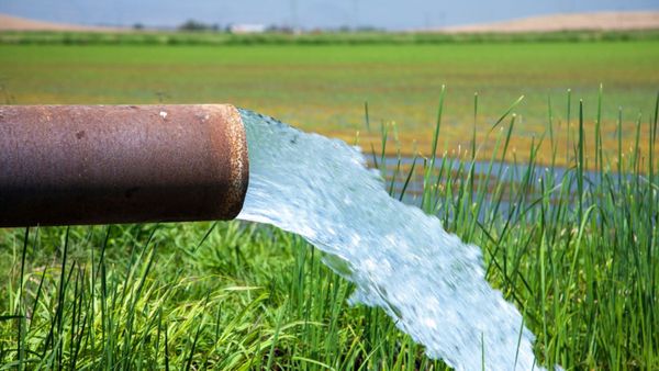 இந்தியாவில் 2080-க்குள் நிலத்தடி நீர் மட்டம் கடுமையாக குறையும்.. ஆய்வில் வெளியான பகீர் தகவல்!