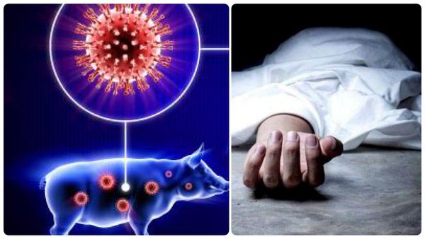 பன்றி காய்ச்சலால் ஒருவர் பலி.. திருப்பத்தூர் பகுதியில் அதிர்ச்சி.. ‘மாஸ்க்’ அவசியம்: பரபர ஆர்டர்!