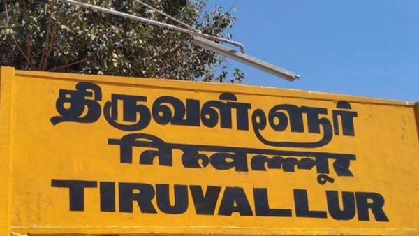 8 ஆடுகள்.. அதென்ன கழுத்தில் 