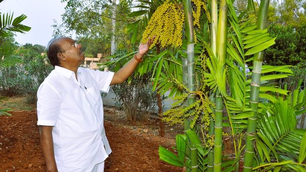 எல்லாம் பணம் காய்க்கும் மரங்கள்! 15 ஆண்டுகளில் பணம் கொட்டும்! ராமதாஸ் வளர்க்கும் 4,200 மரக்கன்றுகள்!