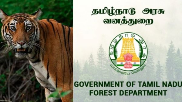 தீரன் பார்ட் 2..? சத்தியமங்கலம் காட்டுக்குள் பவாரியா கொள்ளையர் ஊடுருவல்! புலி வேட்டை! வனத்துறை தகவல்