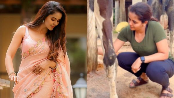 சைக்கிள் கேப்ல சைடு பிசினஸை ஸ்டார்ட் செய்த கயல் நடிகை! டாப் ஹீரோயினாச்சே சைத்ரா.. ஏன் என்னாச்சு?