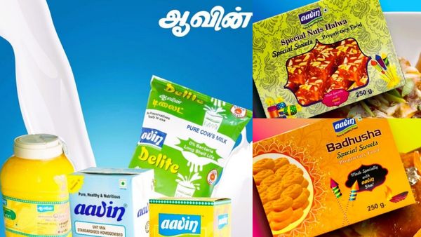 நெய் பாதுஷா.. நட்டி அல்வா.. மைசூர்பாகு! ஆவின் வழங்கும் தீபாவளி காம்போ ஆஃபர்! எங்கும் கிடைக்காத விலை!