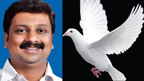 அமைதிச் சின்னமாக புறாவை ஏன் பறக்க விடுகிறோம் தெரியுமா? திமுக எம்.பி. ராஜேஷ்குமார் சொன்ன ருசிகர கதை!