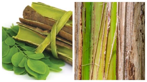 முருங்கை பட்டையை விடாதீங்க.. ஆச்சரியத்தை காட்டும் வாழைமர பட்டைகள்.. இத்தனை சமாச்சாரமா? சூப்பர்ல