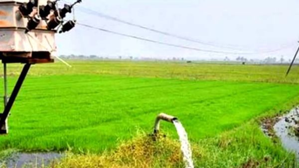 விவசாய மின் இணைப்பு.. தமிழக அரசு வெளியிட்ட சூப்பர் அறிவிப்பு.. மின் வாரியம் அழைப்பு