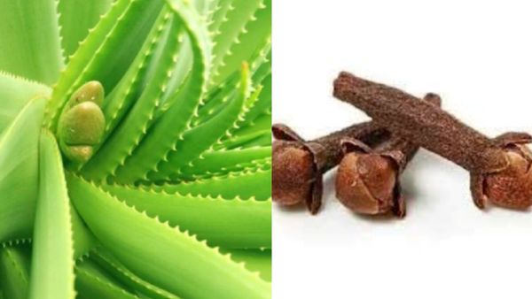 ஈறுகள் ஈர்க்கணுமா? ரோஸ் கலரில் ஈறுகள் வேணுமா.. பல் ஈறுகளை பலப்படுத்தும் அற்புத டிப்ஸ்கள்