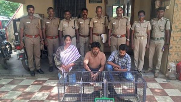 மலேசியாவிலிருந்து திருச்சி வந்த விமானம்.. விஜயலட்சுமியின் கைப்பையை திறந்த சுங்கத்துறை.. அதிர்ச்சி