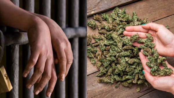 ஒரு கிலோவுக்கு மேல் கஞ்சா.. இளைஞருக்கு 5 ஆண்டு கடுங்காவல் சிறை.. சென்னை சிறப்பு நீதிமன்றம் உத்தரவு