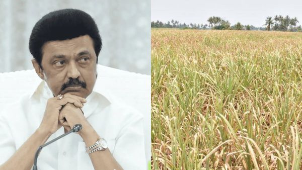 இங்கே எடப்பாடி இறங்கும் முன்பே.. அங்கே கச்சிதமாக 