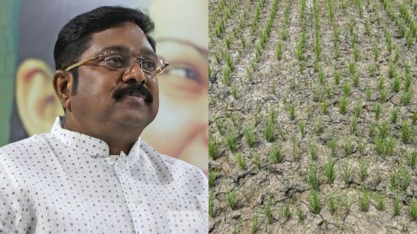 வெந்த புண்ணில் வேல் பாய்ச்சாமல் ஹெக்டேருக்கு 35 ஆயிரம் இழப்பீடு கொடுங்க.. அரசுக்கு தினகரன் கோரிக்கை!