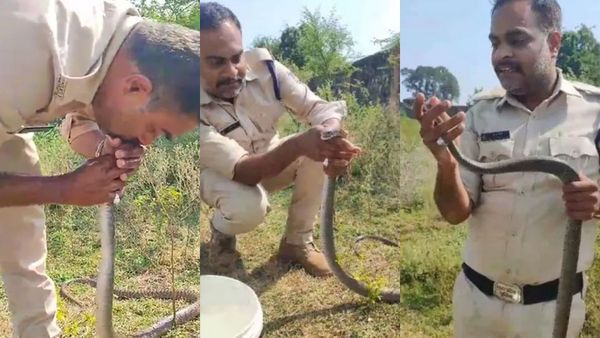 வாயோடு வாய் வைத்து.. பாம்புக்கு சிபிஆர் முதலுதவி சிகிச்சை அளித்த போலீஸ்.. அதிர்ந்து பார்த்த மக்கள்