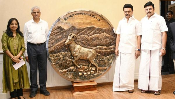 நீலகிரி வரையாடு திட்டம்! முக்கியத்துவம் அளிக்கும் முதல்வர்! வரலாற்றுச் சிறப்புமிக்க தரமான சம்பவம்!