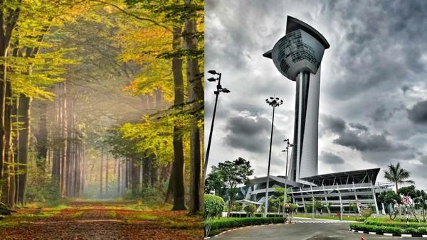 அப்படி போடு.. சென்னையில் உருவாகும் பிரம்மாண்ட காடு.. அதுவும் ஐடி ஏரியாவில்.. மாஸ்டர்பிளான்!