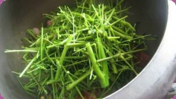 முருங்கைக்கீரை குச்சி.. ஆச்சரியம் தரும் 