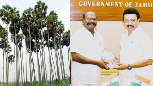 1 கோடி பனை விதைகள் விதைக்கும் திட்டம்! முதலமைச்சரிடம் ஸ்கோர் செய்த எர்ணாவூர் நாராயணன்!