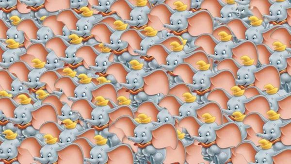 உங்களுக்கு ஒரு சேலஞ்ச்.. யானைகளுக்கு நடுவே பதுங்கியிருக்கும் பூனை.. 7 செகண்ட் தான் டைம் கண்டுபிடிங்க