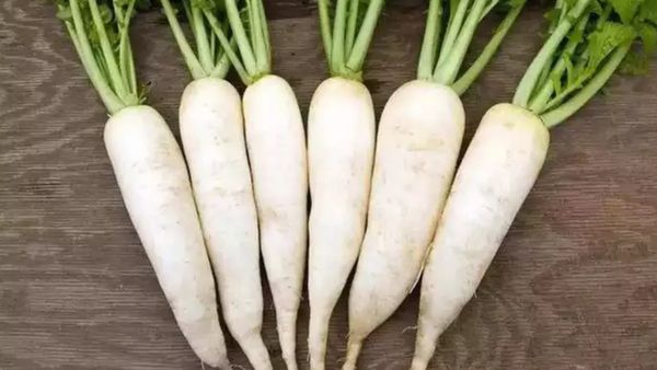 முள்ளங்கி வாங்க போறீங்களா.. அப்ப அதன் கீரையை எட்ட எறியாதீர்கள்.. இதயம், சிறுநீரகத்திற்கு நல்லது!