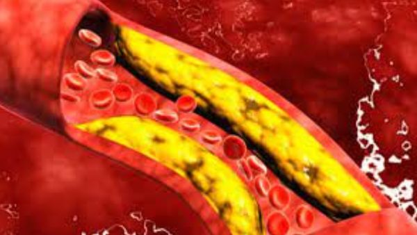 கல்லீரலை காக்கும் அற்புதம்.. நுரையீரலின் நண்பன்.. வெறும் வயிற்றில் சாப்பிட்டாலே ஆயுசு கூடுமே.. வாவ்