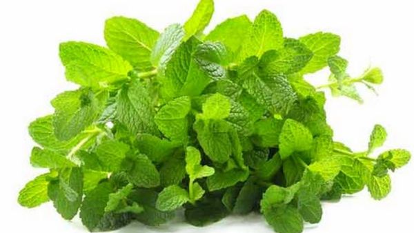 வெறும் வயிற்றில் இந்த 5 இலை போதும்.. ஆயுளை கூட்டும் அற்புத இலைகள்.. பச்சையா சாப்பிட்டாலே கூடும் பலன்