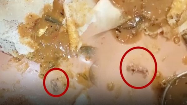 சாம்பாரில் செத்துக் கிடந்த எலி.. பிரபல ஹோட்டலில் தான் இந்த கொடுமை! ஊட்டி சுற்றுலா பயணிகள் அதிர்ச்சி!