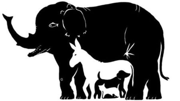 இங்கே 13 உயிரினங்கள் இருக்கு.. 17 செகண்டில் கண்டுபிடிச்சா நீங்க செம ஷார்ப் தான்.. சவாலுக்கு ரெடியா?