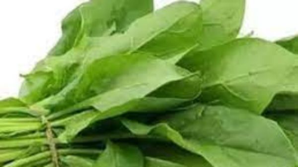 ஒல்லி ஒல்லியா நீங்க ஆகணுமா? பசலைக்கீரை + கறிவேப்பிலை..5 மேஜிக் இலை இருக்கே.. அதென்ன பச்சை ஜூஸ்.. அட