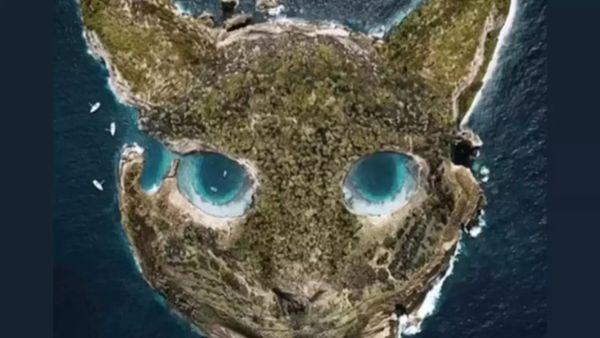 நீங்க மன அழுத்தத்தை எப்படி கையாளுவீங்க.. இந்த புகைப்படத்தை உற்று பாருங்க.. சின்னதா ஒரு டெஸ்ட்