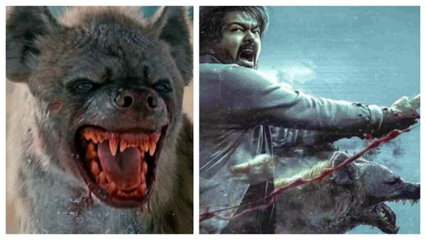 லியோ.. ஹைனாவை தேர்வு செய்தது ஏன்? விஜய்க்கும் கழுதைப் புலிக்குமான கனெக்ஷன் என்ன?