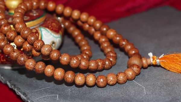 அதிர்ஷ்டம் தரும் செங்காலி மாலை.. குபீரென அதிகரித்த வியாபாரம்.. எந்த ராசிக்காரர்கள் அணிந்தால் யோகம்?