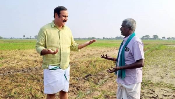 நேரடி நெல் கொள்முதலை ஏன் நிறுத்தினீங்க? இது அரசுக்கு தெரியுமா அதிகாரிகளே? வெளுத்து வாங்கிய அன்புமணி