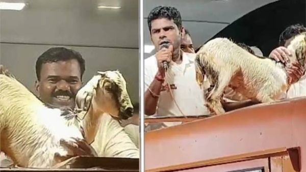 அன்பளிப்பாக வந்த ஆட்டுக்குட்டி.. அப்படி ஒரு பார்வை பார்த்த அண்ணாமலை.. அந்த நொடி செய்த சம்பவம்