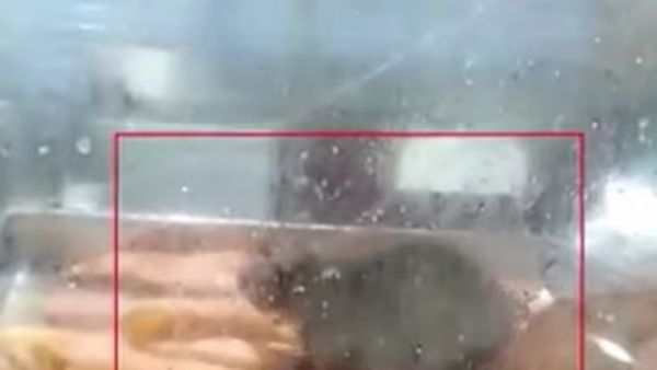 சென்னை ஸ்டான்லி அரசு மருத்துவமனை கேண்டின் தின்பண்டங்களில் எலி.. டீன் போட்ட அதிரடி உத்தரவு