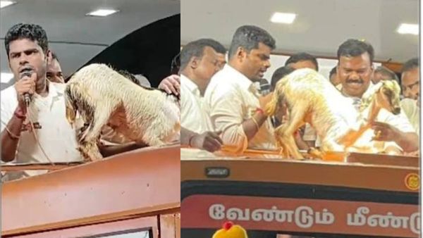 கிடா குட்டிக்கு சிவகாமின்னு பேரு வச்சதோட நிறைய குட்டி போடும்னு சொன்ன அண்ணாமலை