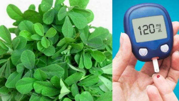 சர்க்கரை நோயாளிகள் கீரை சாப்பிடலாமா? பருப்புக்கீரை நல்லதா? வெறும் இந்த கீரை மட்டுமே போதும்.. சூப்பர்