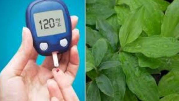 சர்க்கரை நோயாளி அரிசி சாதம் சாப்பிடலாமா? கீரை சாப்பிடறீங்களா? அதென்ன 