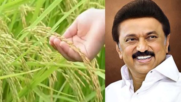 விவசாயிகளுக்கு குஷி.. பயிர் காப்பீடு திட்டம்..நிறைய டைம் இருக்கு.. தமிழக அரசு தரும் பெரிய நம்பிக்கை