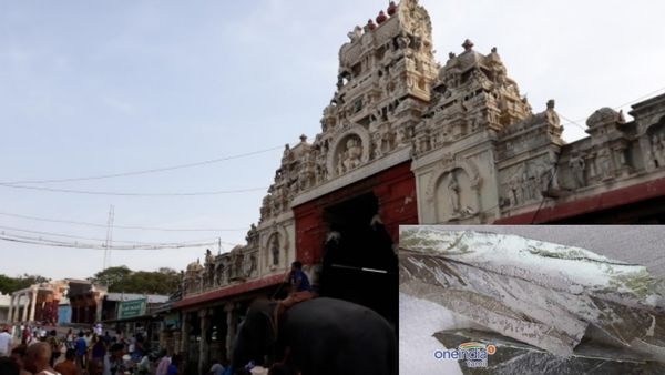 திருச்செந்தூர் பன்னீர் இலை விபூதிக்கு இத்தனை சக்தியா?.. மறக்காம வாங்கிட்டு வாங்க