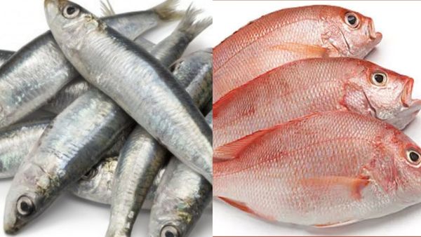 மீனில்..சூப்பர் மீன் இதான்.. சர்க்கரை நோயாளி சாப்பிட வேண்டிய மீன்கள்.. மத்தி மீன் கிடைச்சா விடாதீங்க