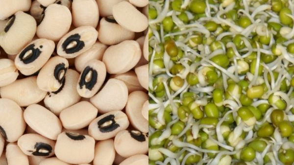 தட்டை பயிறு.. விறுவிறுனு எடை குறையணுமா? இந்த 2 பயிறு போதுமே.. இயற்கையின் வரப்பிரசாதம் 